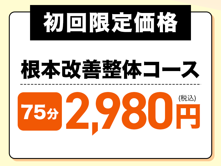 全店舗向けLP 整体