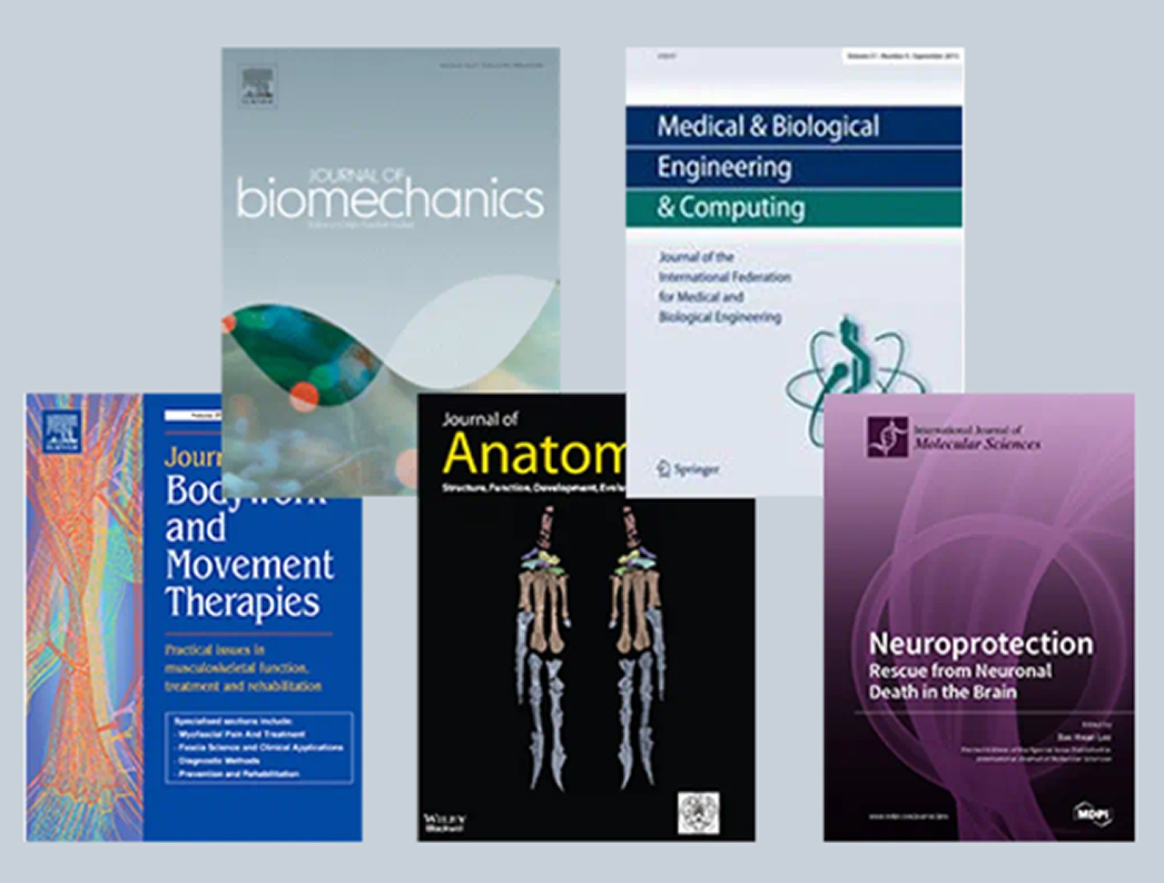 研究報告の一例