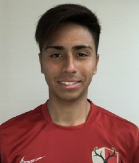 川島ミザキさん