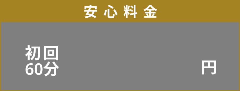 安心料金