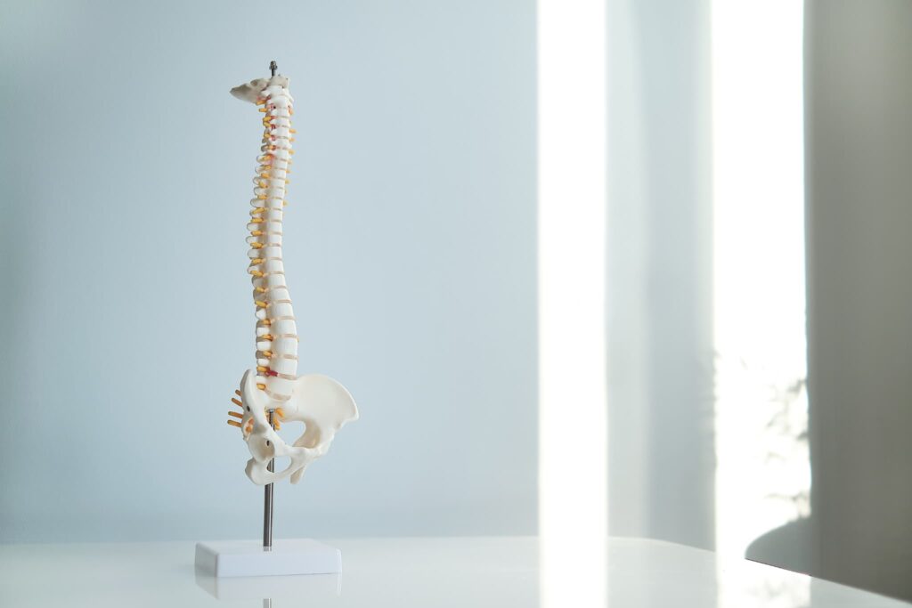 骨盤の歪みの原因は日々のクセ？改善方法も紹介