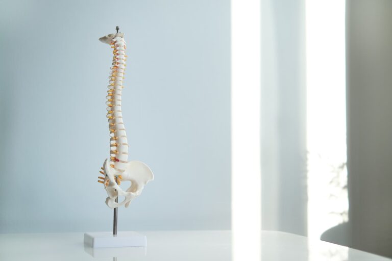 骨盤の歪みの原因は日々のクセ？改善方法も紹介