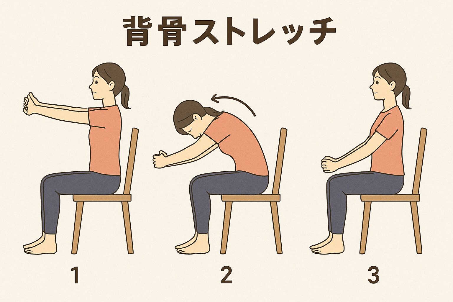 背骨ストレッチの方法イラスト