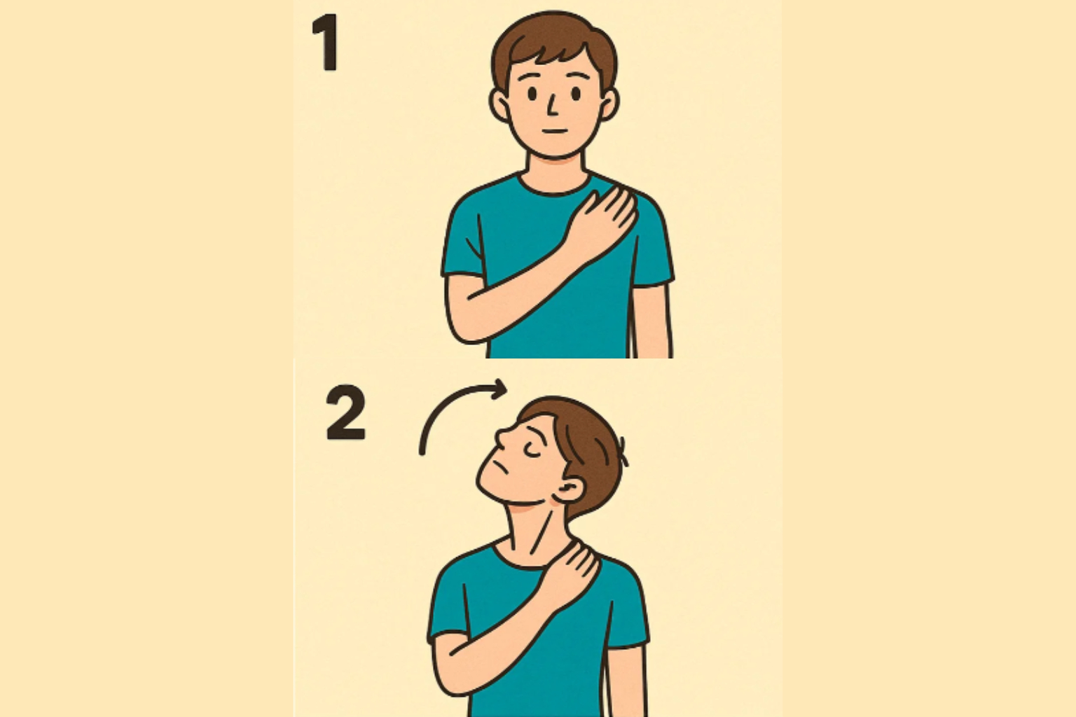 胸鎖乳突筋のストレッチ