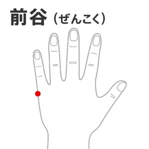 前谷(ぜんこく)|夏バテによる熱のこもり