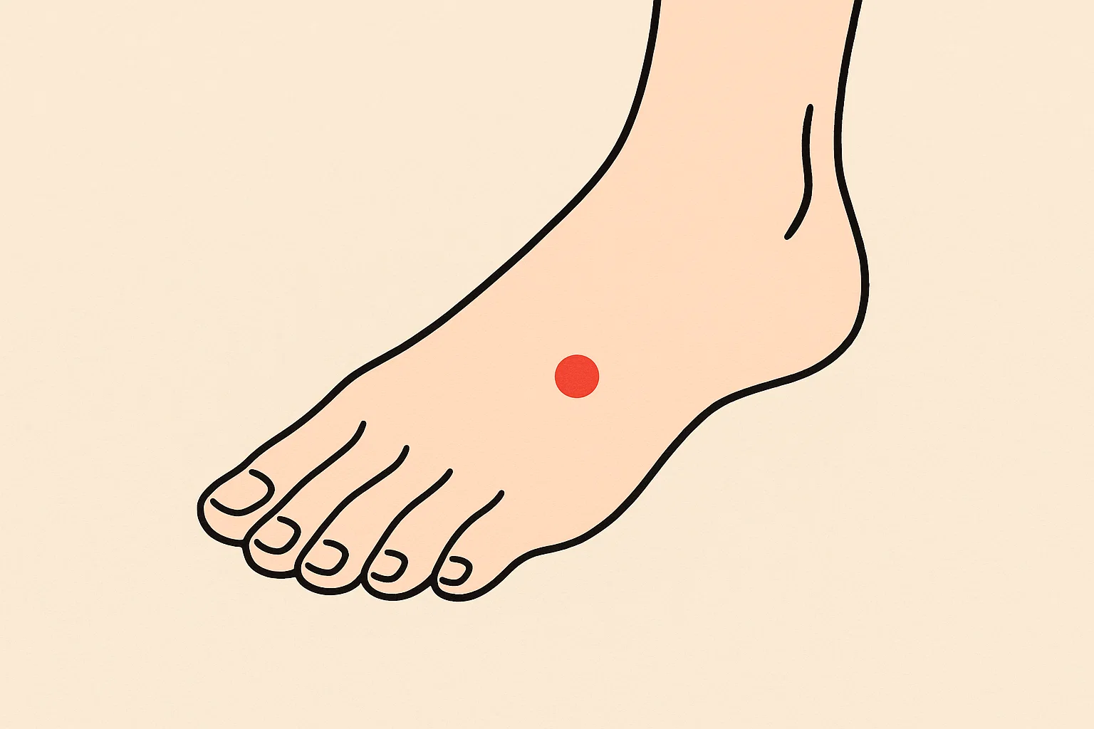 片頭痛のツボのイラスト8:足臨泣(あしりんきゅう)