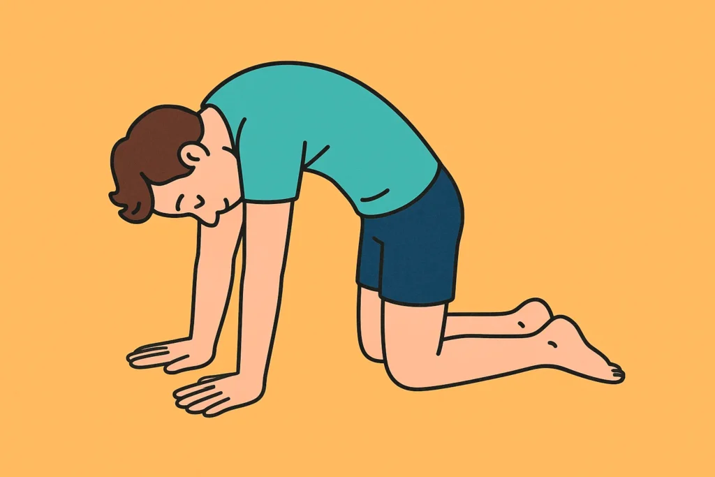 キャットストレッチ