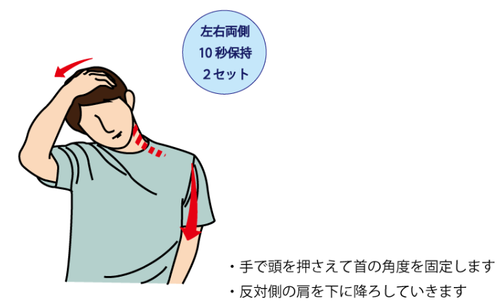 首側面のストレッチ