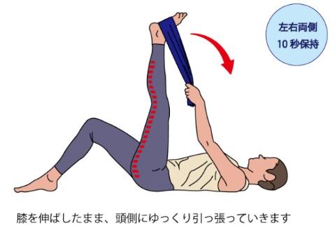 ハムストリングスのストレッチ