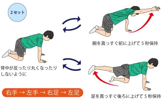 背筋の筋力トレーニング