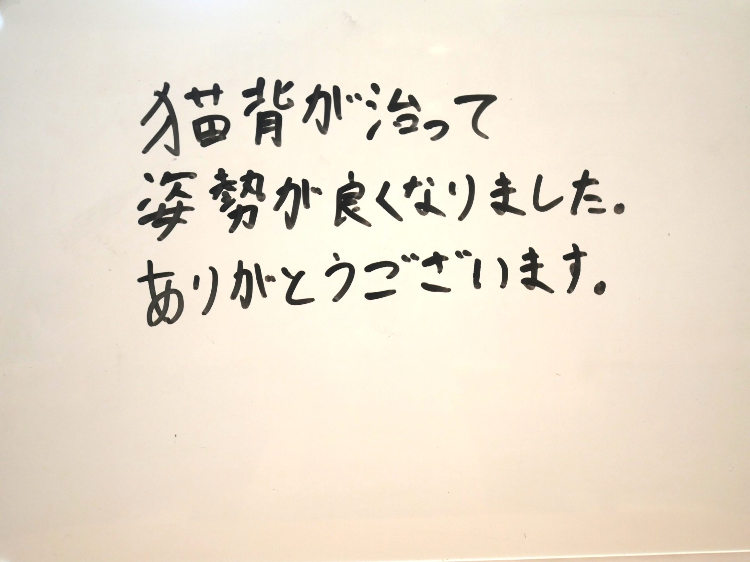 （14歳 男性）